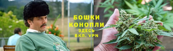 шишки Баксан