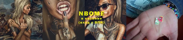шишки Баксан