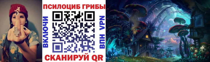 Галлюциногенные грибы Psilocybine cubensis  Кушва 